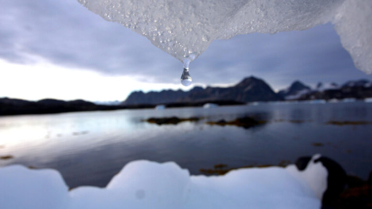 Oxford climate statistician dismisses panic forecasts.  We are on the right track.  You see the solution to the climate problem in modern technology