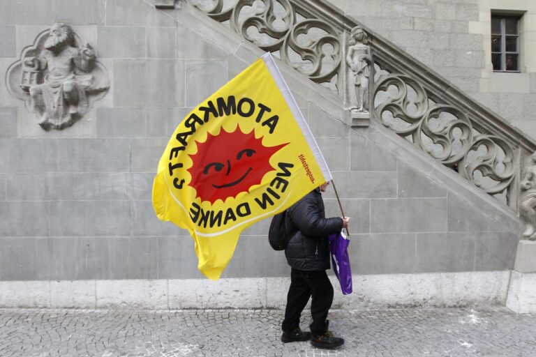 Ein Atomkraftgegner schwenkt eine Fahne kurz vor der Uebergabe der gesammelten Unterschriften der Initiative 