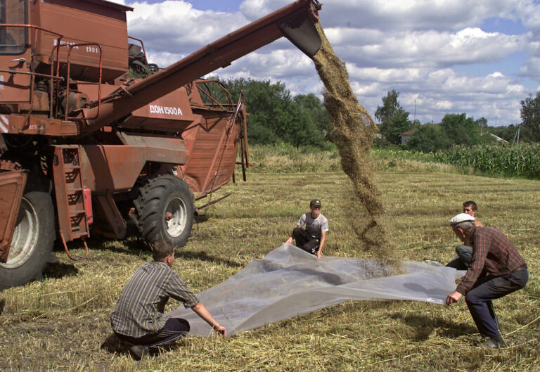 Ukrainian farmers gather the grain harvest in the northern Ukrainian village of Kysylivka, some 300 km (180 miles) from the capital Kiev, Friday, Aug. 22, 2003. According to agricultural experts the 2003 harvest will amount to about 25.5 million tons following a 2002 level of 38.8 million tons. Ukraine, the former breadbasket of the Soviet Union and one of the world's largest grain exporters, announced plans to buy grain abroad in June. (KEYSTONE/AP Photo/Andrei Lukatsky)