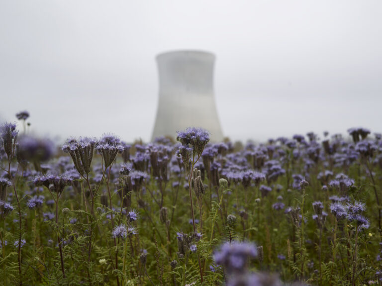 Flowers in the foreground of the Leibstadt nuclear power plant cooling tower, photographed in Leibstadt, in the Canton of Aargau, Switzerland, on October 29, 2016. (KEYSTONE/Christian Beutler)

Wiesenblumen im Vordergrund des Kuehlturms des Kernkraftwerks Leibstadt, aufgenommen am 29. Oktober 2016, in Leibstadt. (KEYSTONE/Christian Beutler)
