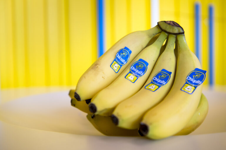 The headquarters of Swiss producer and distributor of bananas Chiquita Brands International is pictured, in Etoy, Switzerland, Tuesday, May 7, 2019. (KEYSTONE/Laurent Gillieron)