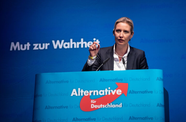 15.02.2020, Baden-Württemberg, Böblingen: Alice Weidel, AfD-Fraktionsvorsitzende im Bundestag, redet beim AfD-Sonderparteitag. (zu dpa 