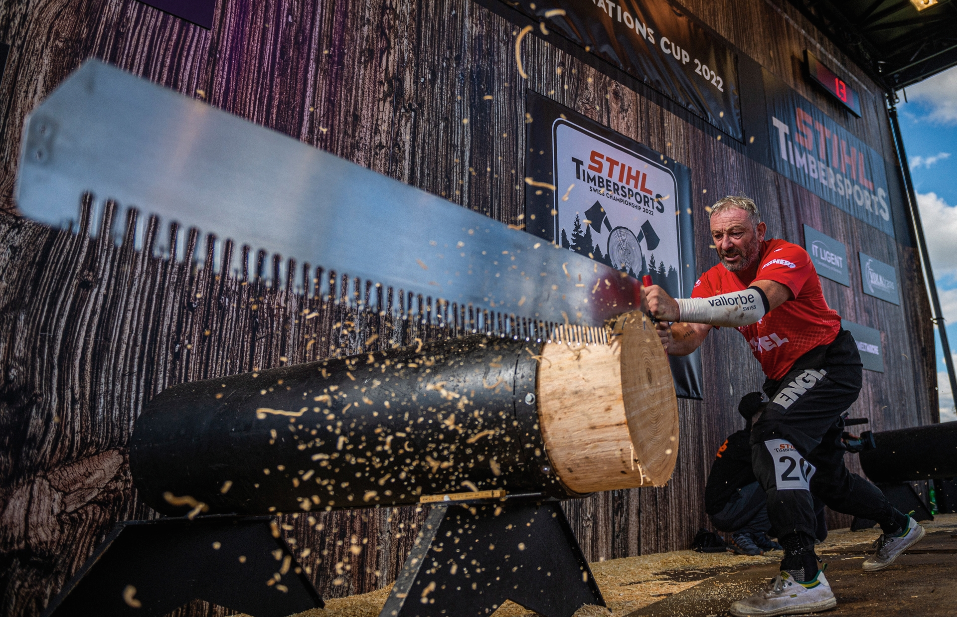 Stihl single online buck saw