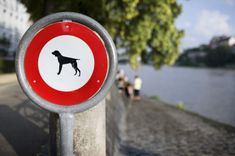 Ein Verbotsschild fuer Hunde auf dem Oberen Rheinweg am Rheinufer in Kleinbasel in Basel, aufgenommen am 13. Juni 2007. (KEYSTONE/Martin Ruetschi)

A prohibition sign for dogs on the Oberer Rheinweg at the riverside of the Rhine river in Kleinbasel in Basle, Switzerland, pictured on June 13, 2007. (KEYSTONE/Martin Ruetschi)