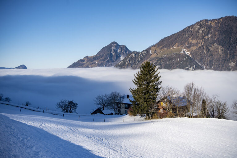 Der Nebel mit einer Nebelgrenzhoehe von rund 800m ueber Meer huellt die Berglandschaft von Seelisberg im Kanton Uri ein, am Mittwoch, 26. Januar 2022. (KEYSTONE/Urs Flueeler)
