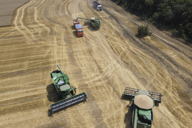 Farmers use combines to harvest a wheat field near the village Tbilisskaya, Russia, on July 21, 2021. Russia accounts for 30% of wheat exports, which means that poorer countries that depend on imports could face major supply shocks. (KEYSTONE/AP Photo/Vitaly Timkiv)
