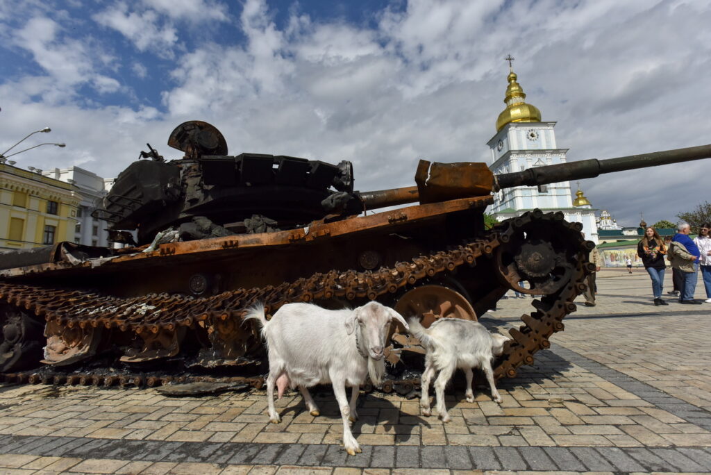 Ukraine-Krieg: Was will der Westen? Was bringen die Sanktionen? Fakt ist, der Krieg dauert fort. Und die russischen Streitkräfte sind längst nicht am Ende, wie es die Medien herbeisehnen. Der Westen hat sich verrannt