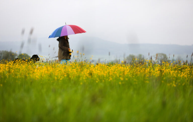 14.05.2023, Baden-Württemberg, Riedlingen: Eine Frau geht im Regen mit ihrem Hund spazieren. Foto: Thomas Warnack/dpa +++ dpa-Bildfunk +++ (KEYSTONE/DPA/Thomas Warnack)