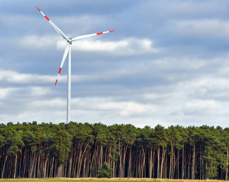 ARCHIV - 27.11.2017, Brandenburg, Lübben: Eine Windenergieanlage steht in einem Wald. (zu dpa 