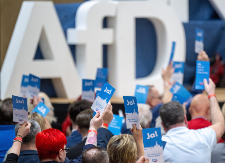 dpatopbilder - 06.04.2024, Brandenburg, Jüterbog: Parteimitglieder halten beim Landesparteitag der AfD Brandenburg in der Wiesenhalle ihre Stimmzettel hoch. Auf dem Programm steht die Wahl der Landesliste sowie der Verabschiedung des Wahlprogramms der AfD-Brandenburg für die Landtagswahl am 22. September 2024. Foto: Monika Skolimowska/dpa +++ dpa-Bildfunk +++ (KEYSTONE/DPA/Monika Skolimowska)