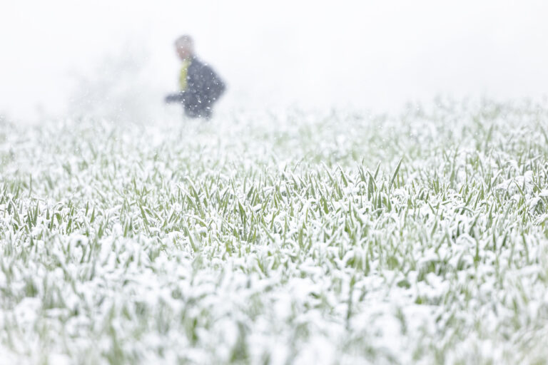 A man runs past a field as the snow covers the landscape in Zurich, Switzerland on Thursday April 18, 2024. (KEYSTONE/Michael Buholzer)