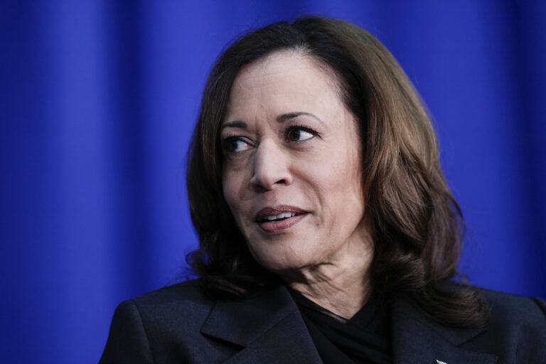 Vice President Kamala Harris speaks during a campaign event in Elkins Park, Pa., Wednesday, May 8, 2024. (AP Photo/Matt Rourke)