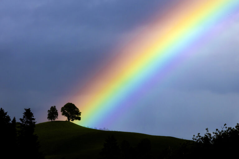 A rainbow appears above a tree on a hill in the remote village of Doppleschwand, in the UNESCO Biosphere Entlebuch, central Switzerland on Tuesday, May 21, 2024. (KEYSTONE/Michael Buholzer)