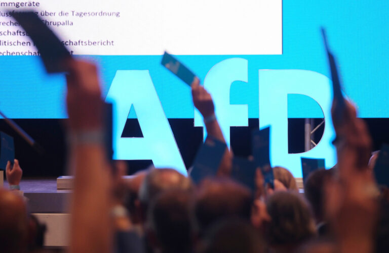 Bald 50'000 Mitglieder: Die AfD wächst und wächst und wächst