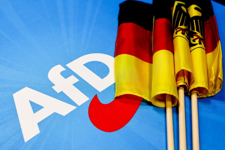 epa11400481 German flags are seen on a table-cloth with Alternative for Germany (AfD) logo at the election party during the Alternative for Germany (AfD) election event in Berlin, Germany, 09 June 2024. The European Parliament elections take place across EU member states from 06 to 09 June 2024, with the European elections in Germany being held on 09 June. EPA/FILIP SINGER