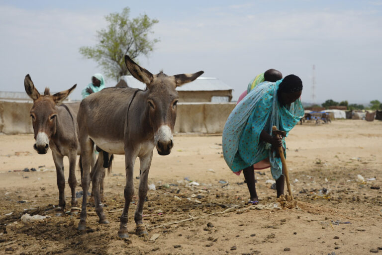 A woman who fled war in Sudan digs in a refugee camp in Adre, Chad, Thursday, Oct. 3, 2024. (AP Photo/Sam Mednick)