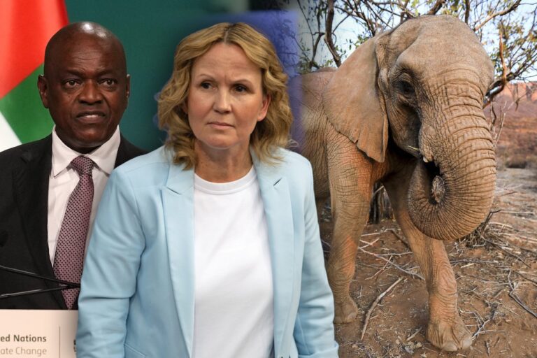 Nimmt Deutschland auch 20.000 Elefanten auf? Botswana macht der Bundesrepublik ein spektakuläres Migrationsangebot. «Wir akzeptieren kein Nein», sagt der afrikanische Präsident