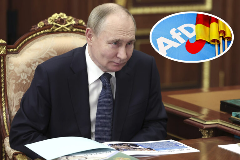 «Nicht unser Bier»: Putin sieht in der AfD nichts, was ihm Sorgen machen würde